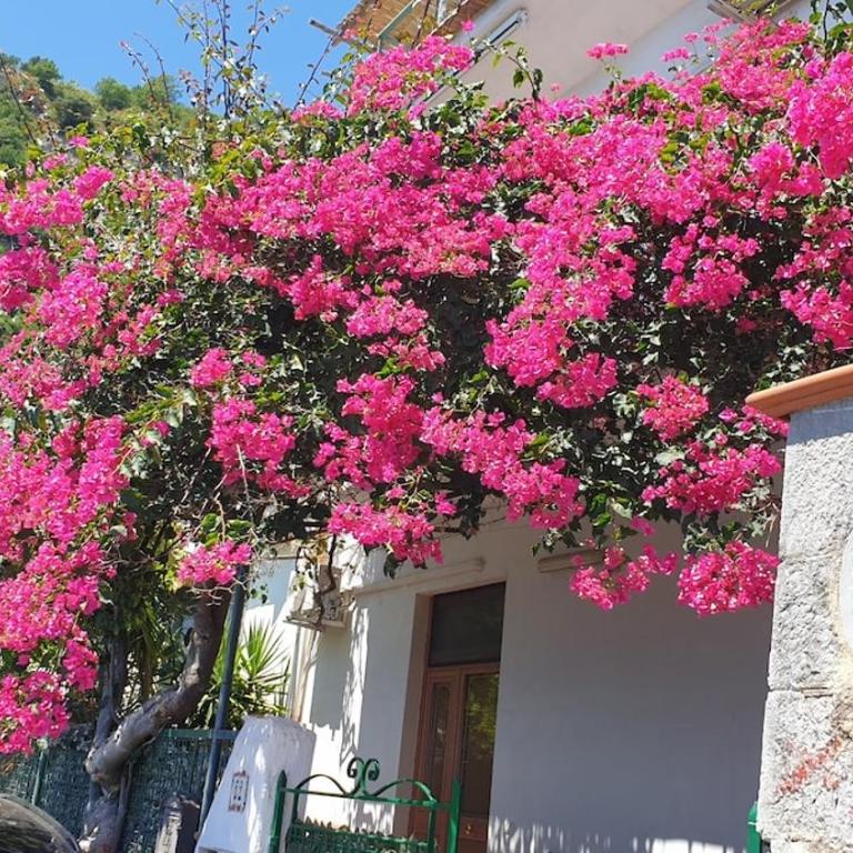 Villa Grace Amalfi seaview - Appartamento con Vista Mare - 37