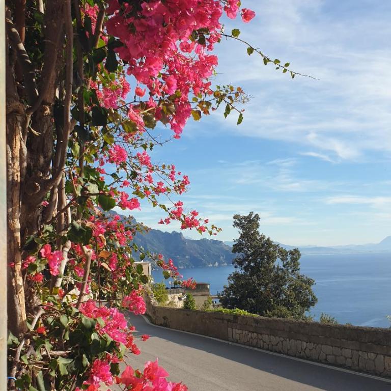 Villa Grace Amalfi seaview - Appartamento con 1 Camera da Letto - Lato Mare - 30
