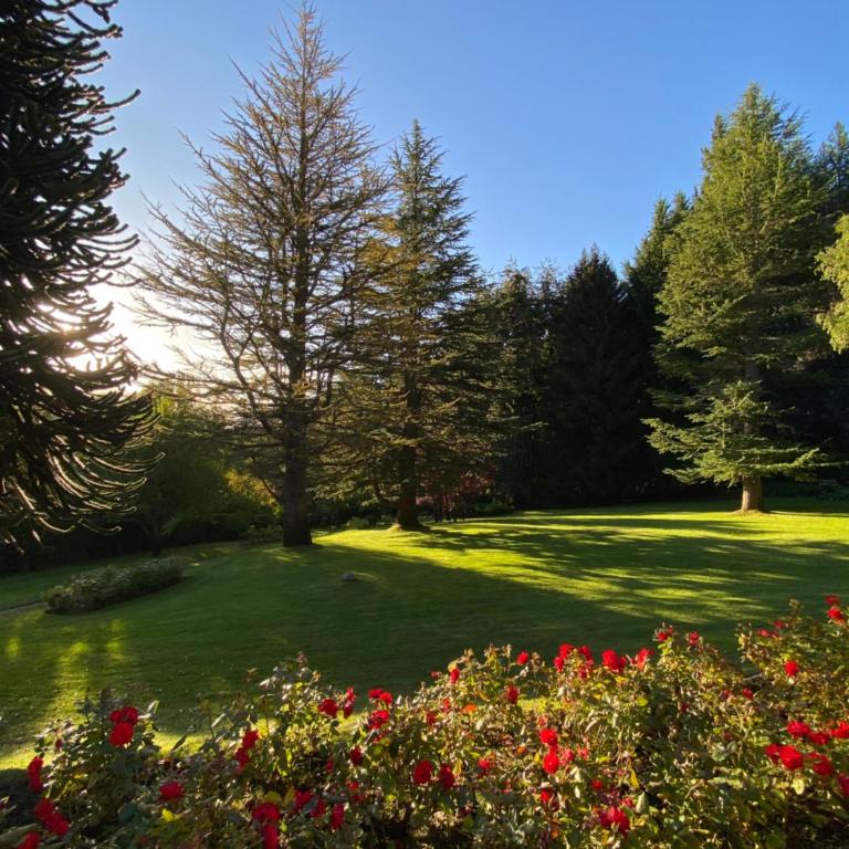 Araucaria - Casa de 3 dormitorios - 45