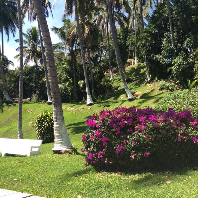 Acapulco Diamante Fun & Relax! - Apartamento de 1 dormitorio - 27