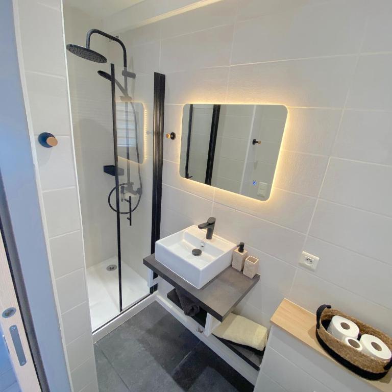 Studio LE PALM Cannes - Appartement - Vue sur Jardin - 5
