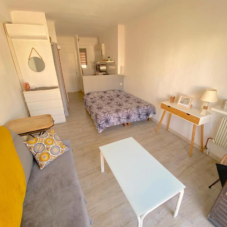 Studio LE PALM Cannes - Appartement - Vue sur Jardin - 2