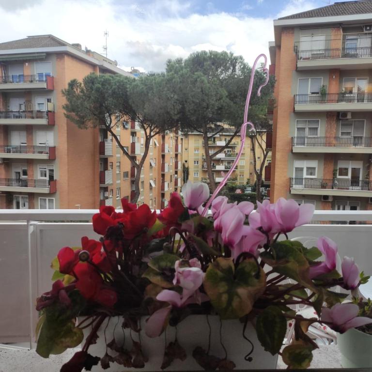 Cinthia's House - Appartamento con 3 Camere da Letto - 22