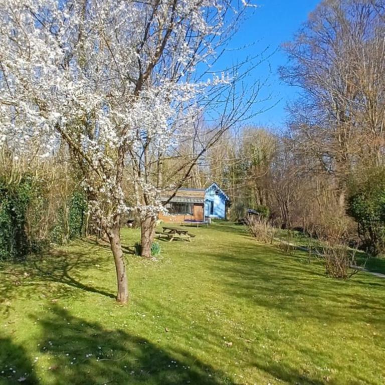 Cabane bleue des Hortillonnages - Maison 2 Chambres - 1