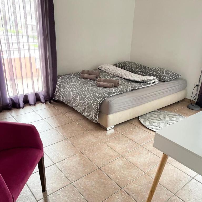 Amonte - Studio Apartment - 2