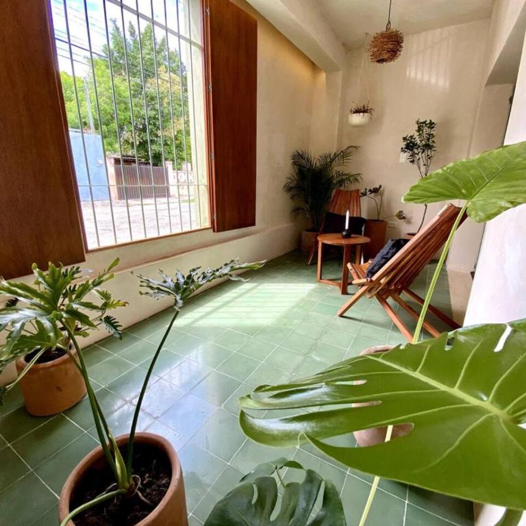 Casa Verde Maya Downtown by LAHOS - Three-Bedroom House - 17