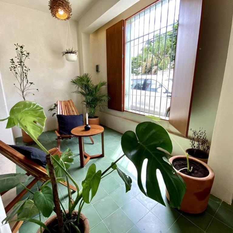Casa Verde Maya Downtown by LAHOS - Three-Bedroom House - 12