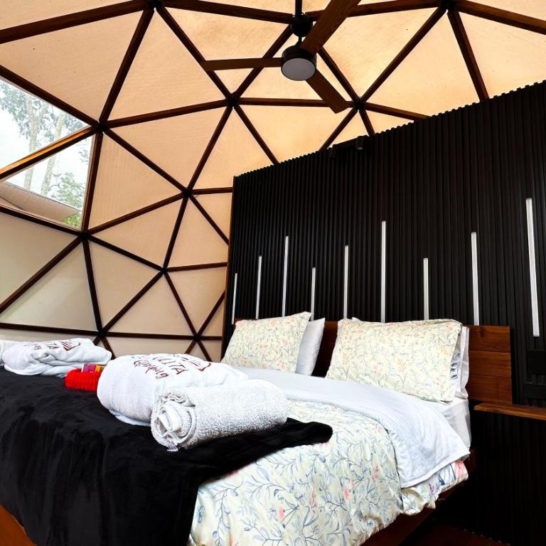 La Julita Glamping - Casa - 6
