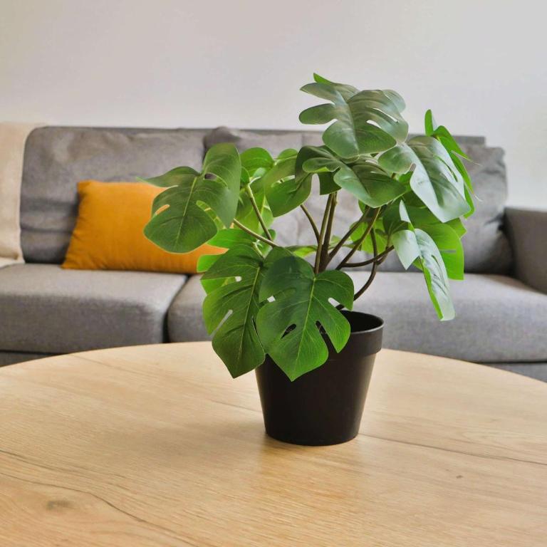 HOM I Wifi I Estadio Nacional I Metro Ñuñoa I 1D1B - Estudio - 32