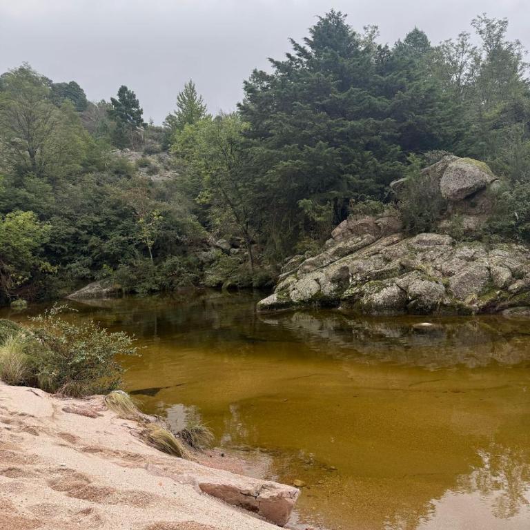 La Casona - Bungalow - 4