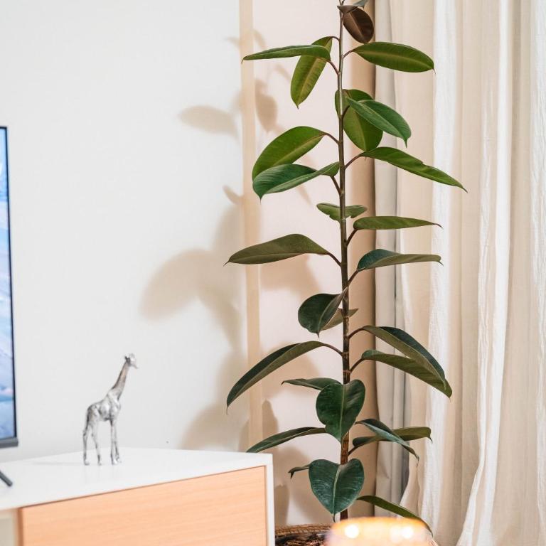 Niceto 5686 - Urban Studio Palermo Hollywood - Apartamento de 1 dormitorio - 9
