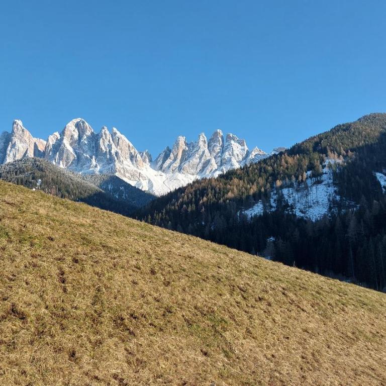 Dolomiten Home - Camera Doppia con Letti Singoli con Bagno - 3