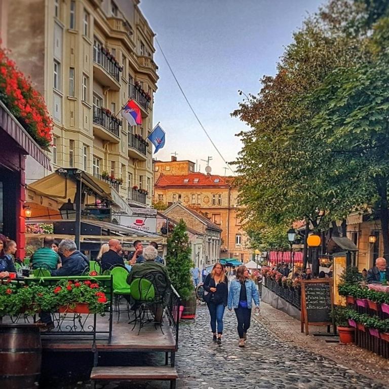 New Dorcol Ginger apartment - Apartman sa 1 Spavaćom Sobom - 19