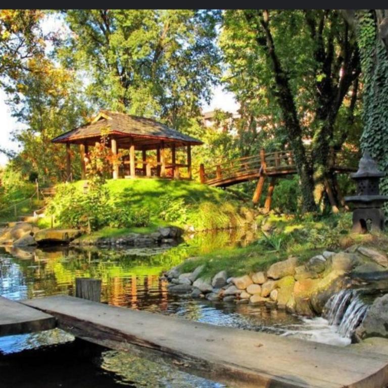 New Dorcol Ginger apartment - Apartman sa 1 Spavaćom Sobom - 21