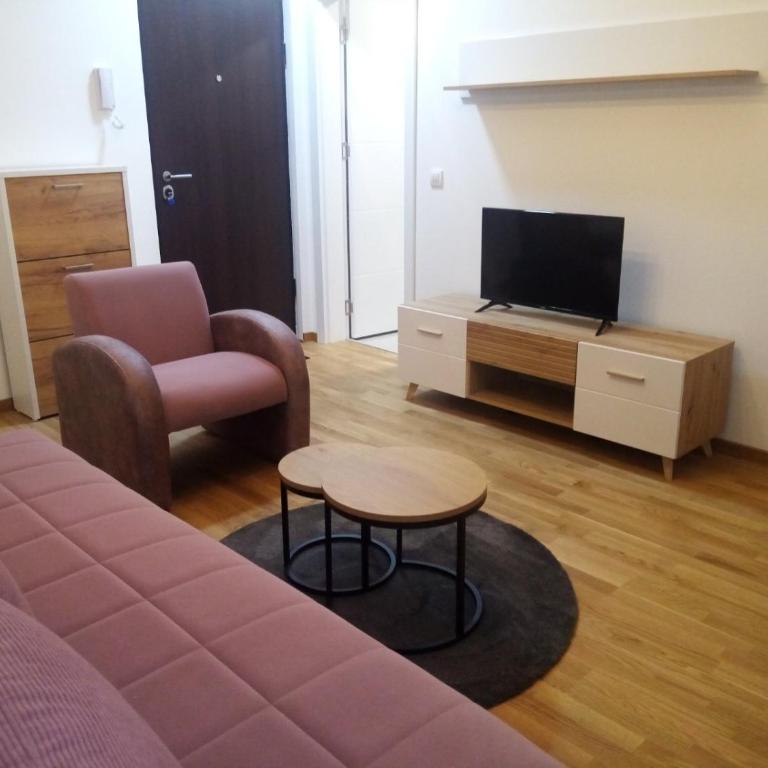 Moj kutak Sokobanja - Apartman sa 1 Spavaćom Sobom - 12