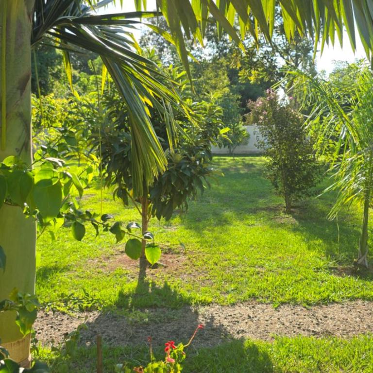 El Jardín Secreto - Villa - 79