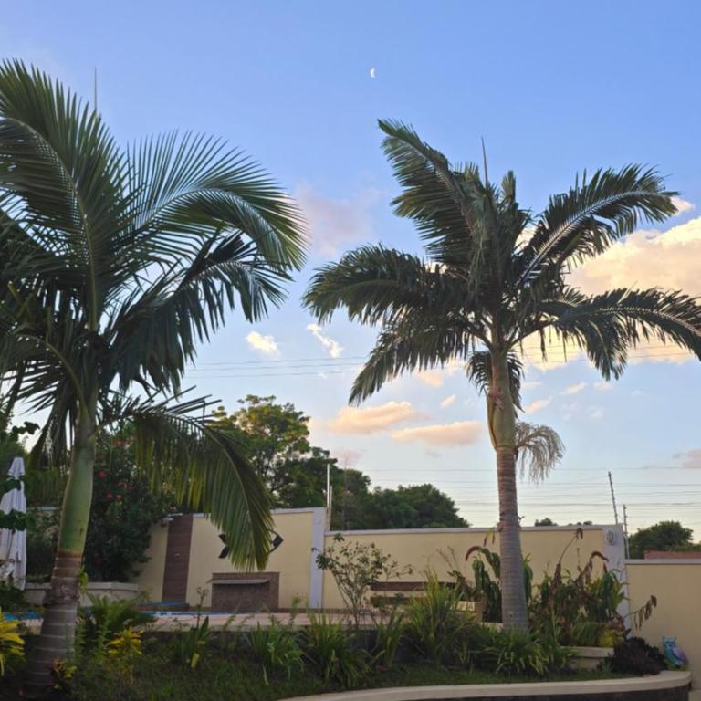 El Jardín Secreto - Villa - 9