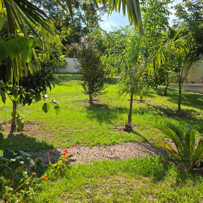 El Jardín Secreto - Villa - 32