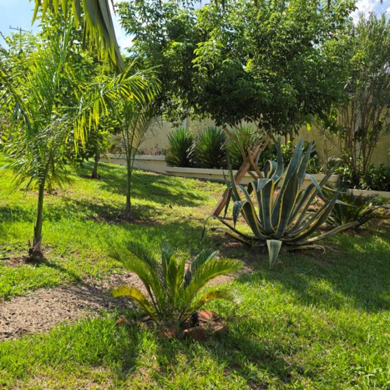 El Jardín Secreto - Villa - 96
