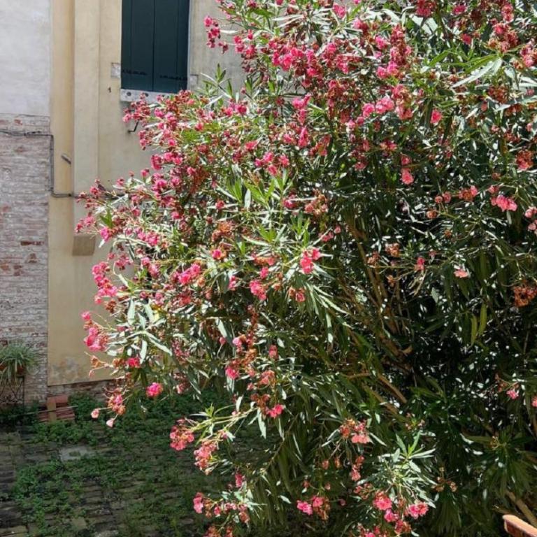 Ania Apartment - Appartamento con 3 Camere da Letto - 25