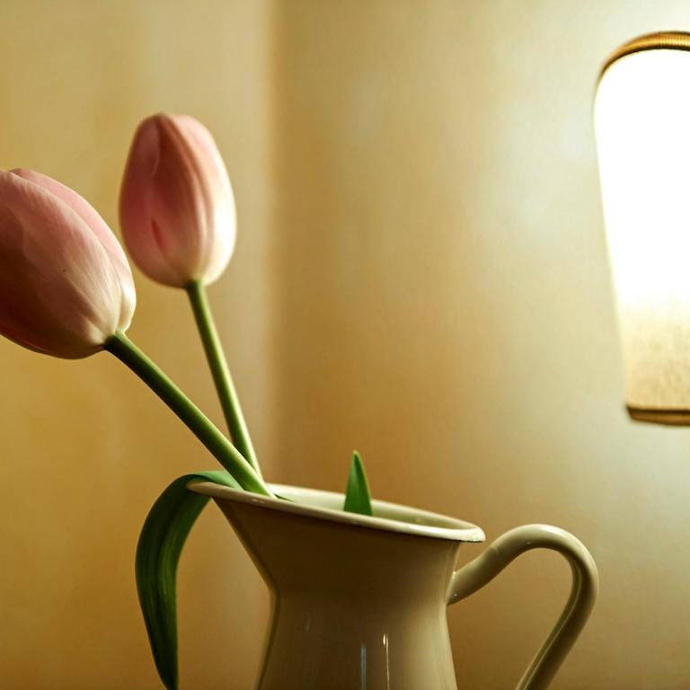 Agriturismo Il Casalino - Camera Matrimoniale con Vista Giardino - 21