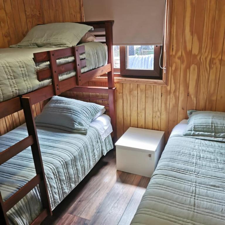 Borde Rio Coyhaique Cabaña y Tinaja - Casa de 2 dormitorios - 3