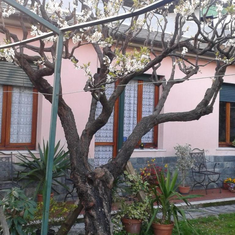 Casa Tra Il Verde E Il Blu - Appartamento con Vista Giardino - 5