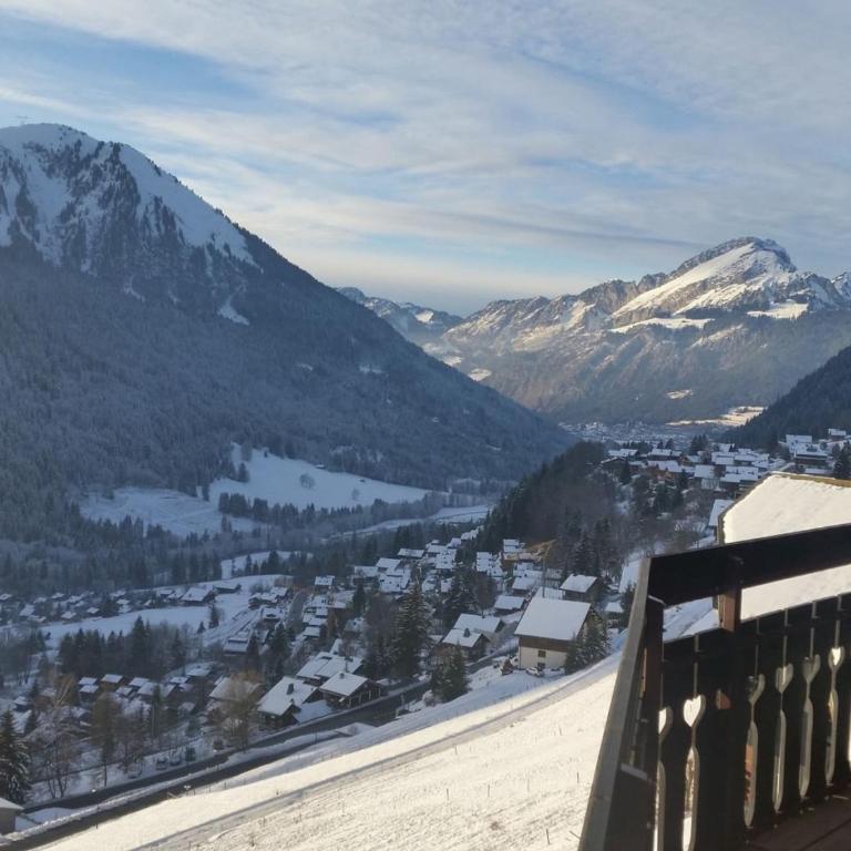 Appartement 2 pièces avec mezzanine pour 5 personnes à Châtel - FR-1-676-206 - Apartment - 17