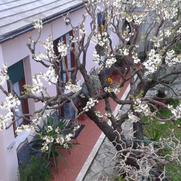 Casa Tra Il Verde E Il Blu - Appartamento con Vista Giardino - 2