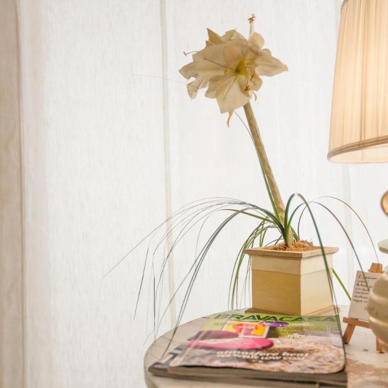 Babbo Guest House - Camera Matrimoniale Comfort - 2