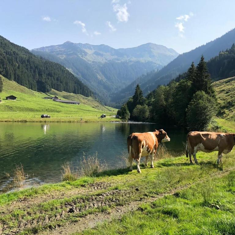 Chalet Ursteinhütte - Chalet - 33