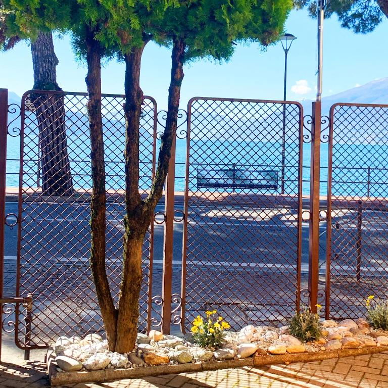 Vista Lago - Lake Como collection - Appartamento con Vista Lago - 24