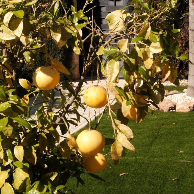 Villa Tulita, Costa Blanca - Villa - 17