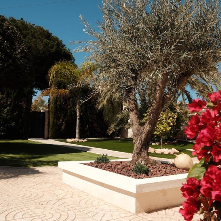 Villa Tulita, Costa Blanca - Villa - 21