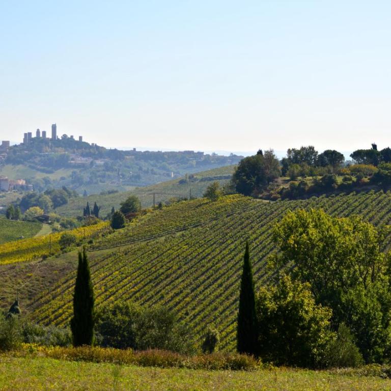 Fattoria di Fugnano - Appartamento - Piano Terra - 4
