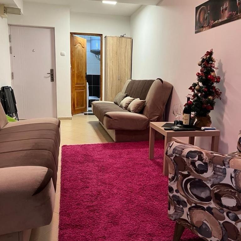 Apartman Milena 1 - Standard Studio - 8