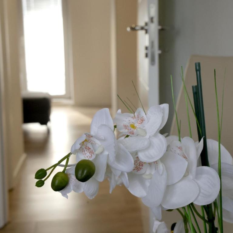 Theatre View Banja Luka - Apartman sa 1 Spavaćom Sobom i Balkonom - 13