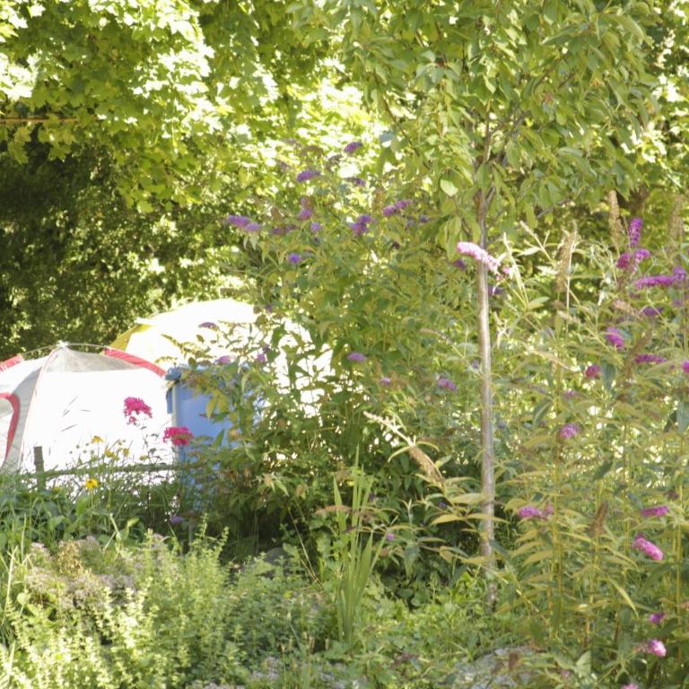 THE TENT - Youth Only - Buchung leider nur bis 30 Jahre möglich! - Stellplatz für eigenes Zelt - 3