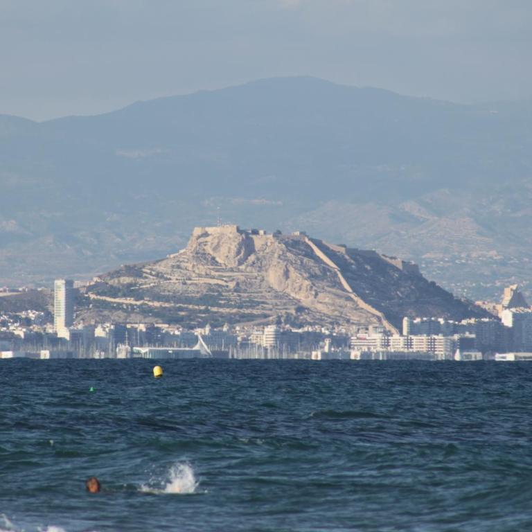 Apartment 241 - Apartment - Ground Floor - 15