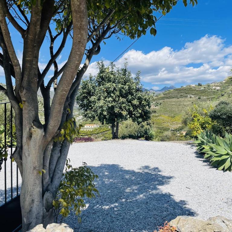 Cortijo Mira con piscina privada by At Home - Villa con piscina privada - 55