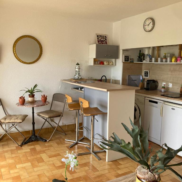 BLEU SOLEIL - STUDIO 23 M2 - BALCON - PORT et PLAGES - Monolocale - 3