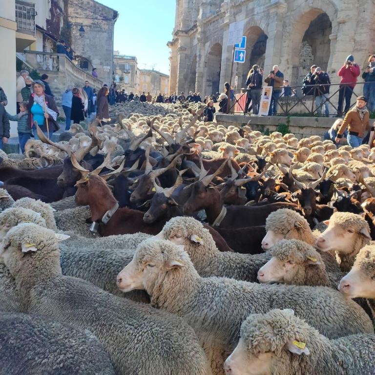Studio Tamaris aux pieds des Arènes - Appartamento con 1 Camera da Letto - 23