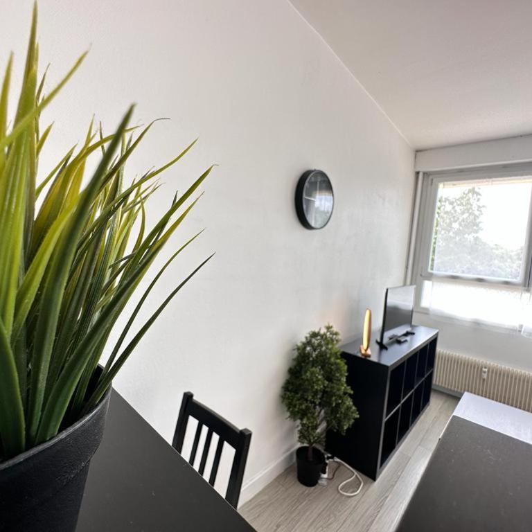 Un cocon paisible avec Balnéo proche centre ville - Apartment - 6