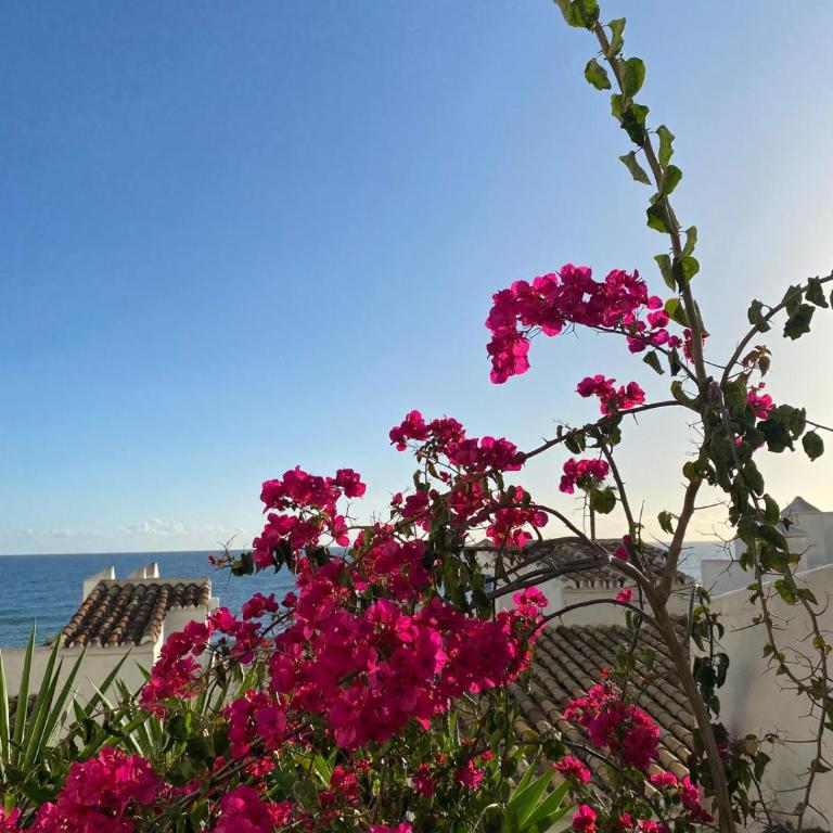 Beachfront duplex with seaview - Apartamento de 2 dormitorios - 30