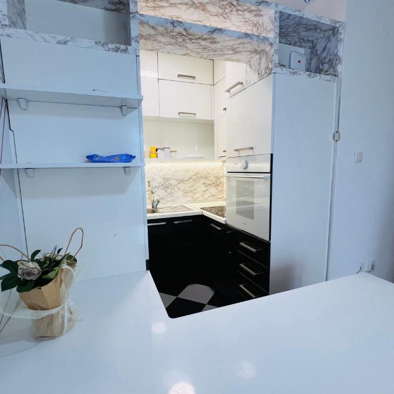 Apartman Tara 11 - Apartman sa 2 Spavaće Sobe - 7
