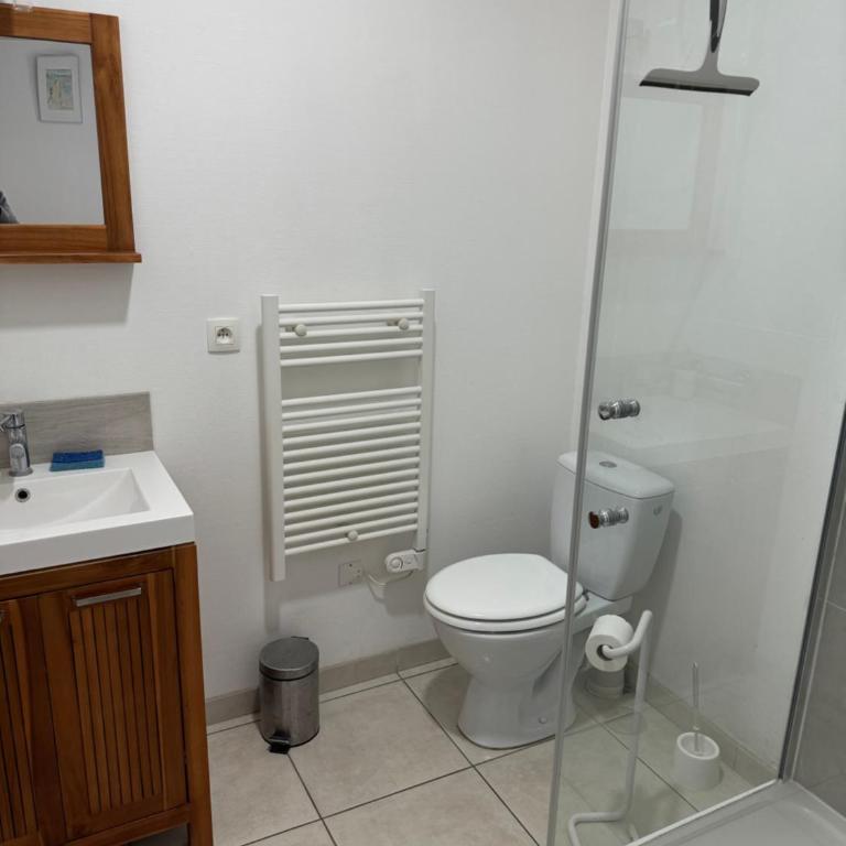 T2 dans villa plain-pied avec parking privé - Appartamento con 1 Camera da Letto - 10