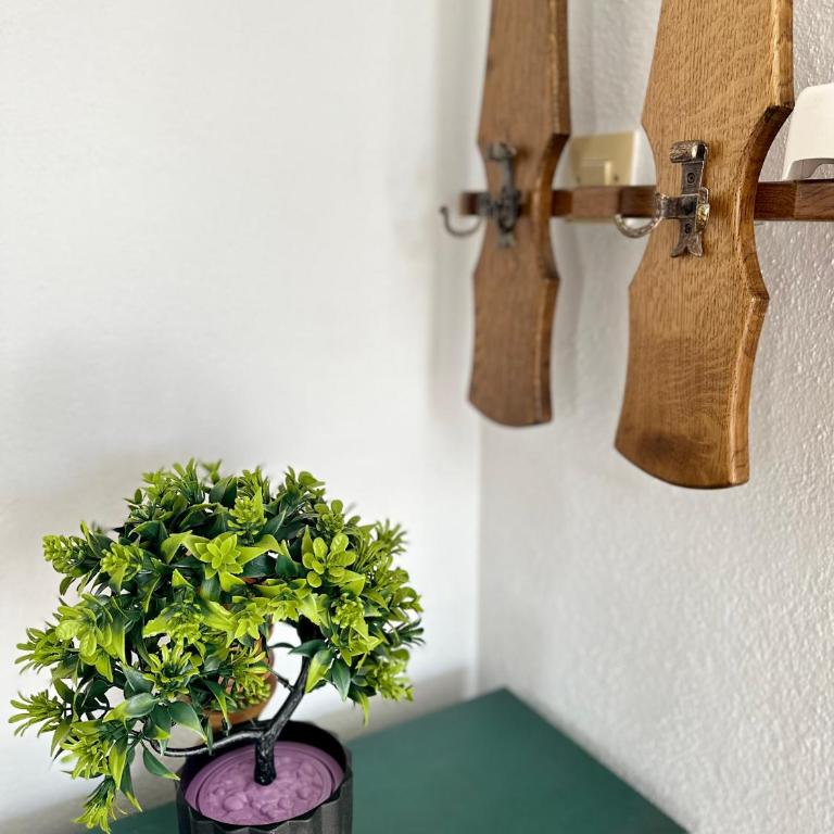 Apartments Tijana - Apartman sa 1 Spavaćom Sobom - 13