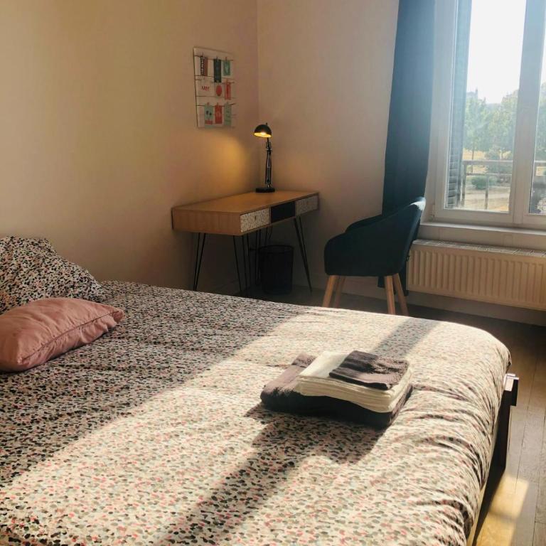 Neufchatel superbe appartement 3 chambres - Apartamento de 3 dormitorios - 6