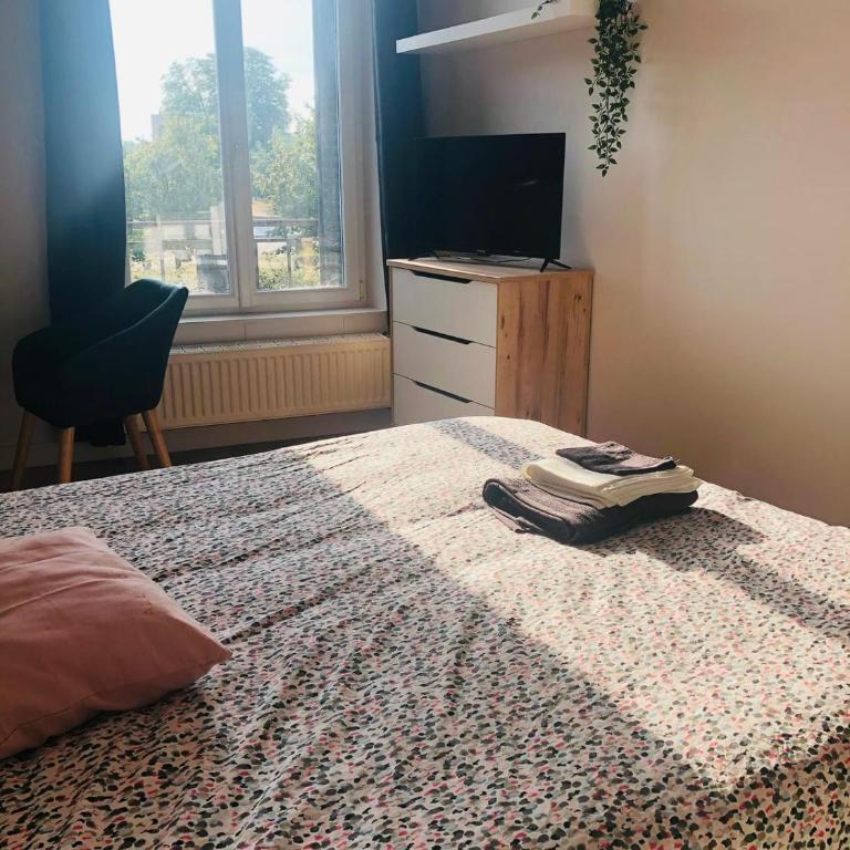 Neufchatel superbe appartement 3 chambres - Apartamento de 3 dormitorios - 17