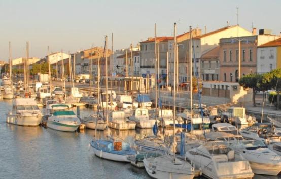 Studio Cosy, proche du port et du centre ville - Appartement 1 Chambre - 9